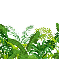 Seamless pattern with jungle plants.