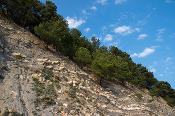 rock landscape