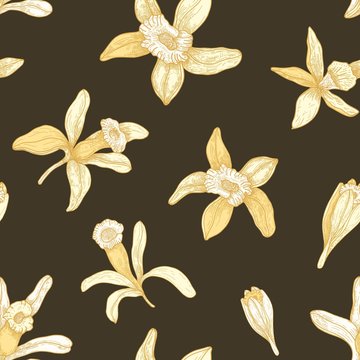 Natural seamless pattern with blooming vanilla flowers on dark background