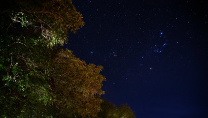 African night, Zambia