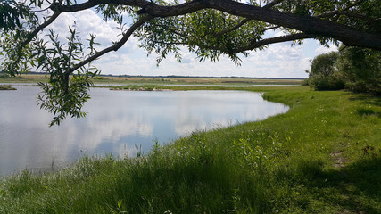 Summer landscape with lake and rocks