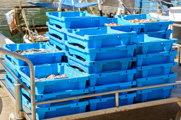 Blue plastic containers with catch of sea fish, oysters, squid, sea delicacies. Fish auction for wholesalers and restaurants. Blanes, Spain, Costa Brava. Fishing at pier in port Blanes