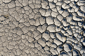 Cracked ground,Dry land. Cracked ground background,Dry cracked ground filling the frame as background