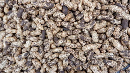 beans for background