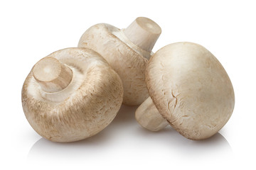 Fresh champignon mushrooms, isolated on white background