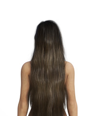 Fototapeta premium Portrait of Ghost woman with long hair**rear view,3d illustration