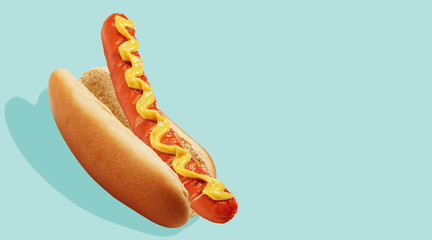 fresh american hot dog with mustard