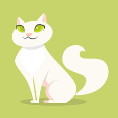 Cute funny cat with white fur sitting
