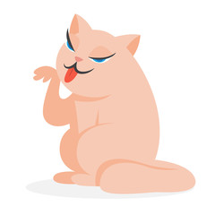 Cute funny cat sitting and licking paw