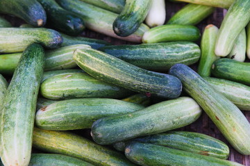 Top view Cucumber, cucumbers from the farm at Fresh market in Thailand