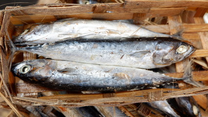 salted fish, ready to be cooked for side dishes