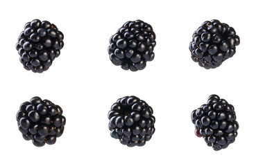 Collection of fresh blackberries.