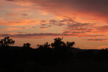 Tramonto arancione con silhouette di collina, Siviglia, Spagna
