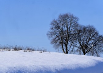 Winterlandschaft