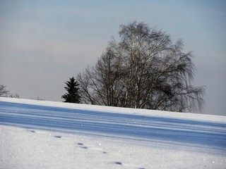 Winterlandschaft