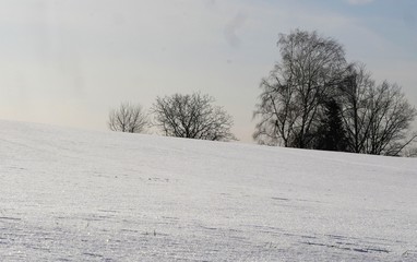 Winterlandschaft