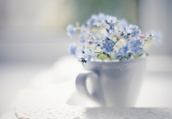 Blue flowers of a forget-me-not in a cup in a window on a lacy tray.