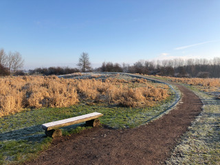 Obraz premium Ice on a bench at the Mayor Rasterhoffpark in Sneek