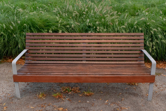 Wooden bench and green plants on background