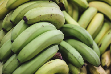 Pile of green bananas on the farmers market or shop, organic food, fruit background