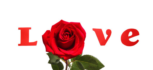 The Word LOVE Spelled With Isolated Red letters and  Rose on White Background Perfect for Valentines Day