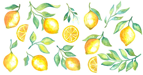 Watercolor fruit lemon and green leaves set on white background