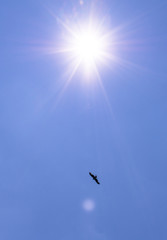 希望の空