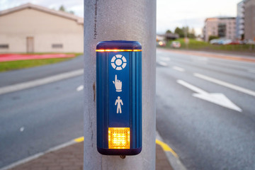 Element of traffic light with pedestrian sign
