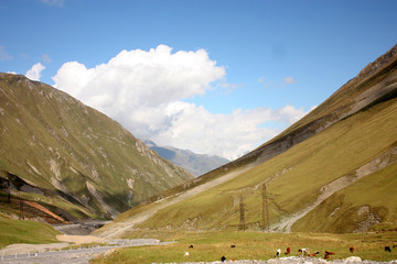 the road through the mountains. georgian