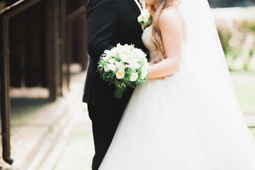 Perfect couple bride, groom posing and kissing in their wedding day
