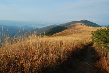 Obraz premium 和歌山県 生石高原
