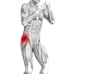 Conceptual hip human anatomy with red hot spot inflammation articular joint pain for leg health care therapy or sport muscle concepts. 3D illustration man arthritis or bone sore osteoporosis disease