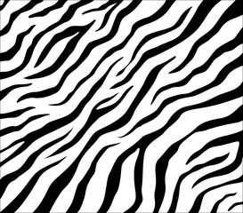 Fototapeta na wymiar Vector zebra pattern for background