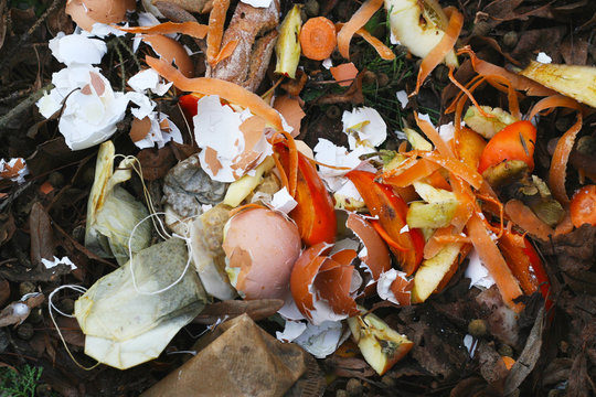Mülltrennung, Biomüll, Bioabfall, organische Bestandteile des Hausmülls auf dem Kompost, eigene Kompostierung im Garten, Gewinnung von Humus