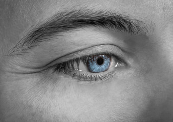 Close up image of man human eye, black and white - Bilder