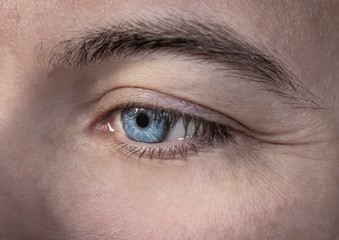Fototapeta premium Close up image of man human eye, detail pupil, eyebrows - Bilder