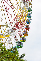 amusement park observation wheel colored cabs