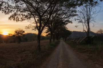 local road at farm during sunset