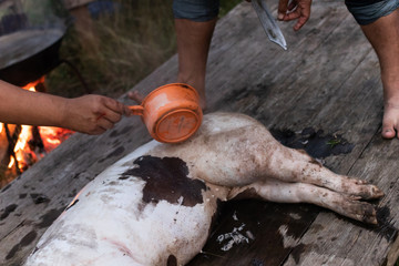 pig slaughtering in rural