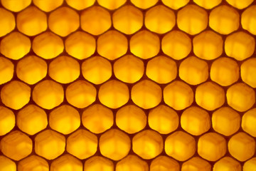 Honeycomb