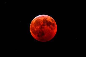 Super Blood Wolf Moon - Powered by Adobe