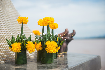 Serpent offerings in Thailand.
