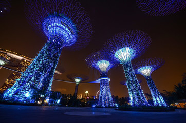 Singapore JUNE 15 , The Supertree at Gardens by the Bay on 15 June 2014