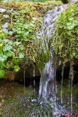 A small mountain stream flows down the slope over grass and moss.