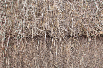 haystack , pile up rice straw background texture - image