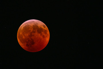 Super Blood Wolf Moon