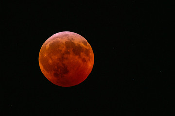 Super Blood Wolf Moon