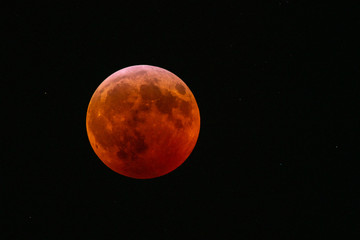 Fototapeta premium Super Blood Wolf Moon