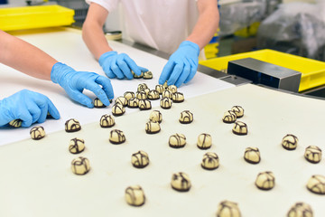 Food industry - production of chocolates in a modern factory - hands of workers on the assembly line // Lebensmittelindustrie - Produktion von Pralinen in einem modernen Werk