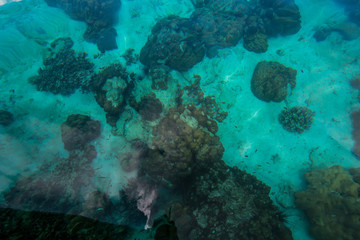 background sea 